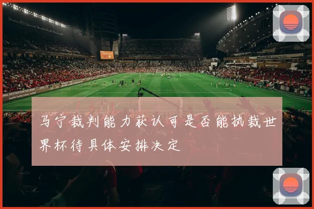 马宁裁判能力获认可是否能执裁世界杯待具体安排决定