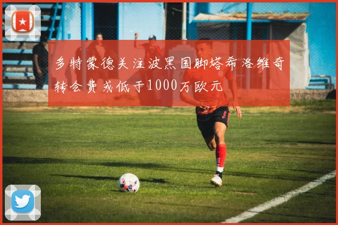 多特蒙德关注波黑国脚塔希洛维奇转会费或低于1000万欧元
